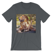 Dog t-shirt