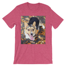 Corgi t-shirt