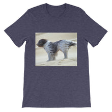 Dog t-shirt