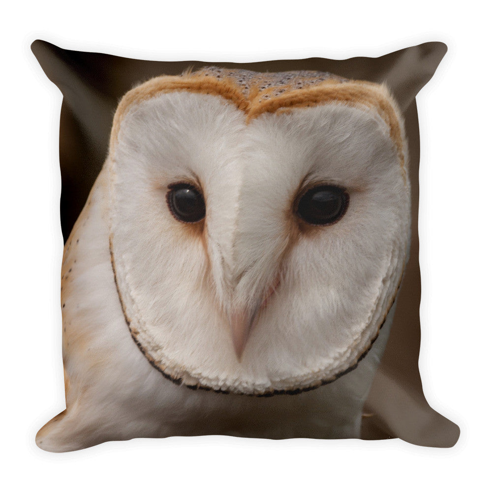 Owl Pillow