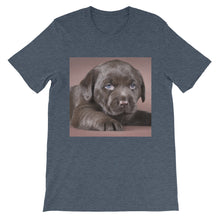Puppy t-shirt