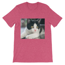 Kitten t-shirt
