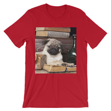 Pug t-shirt