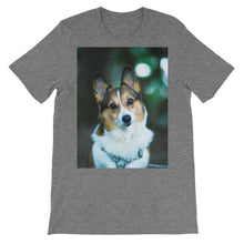 Corgi t-shirt