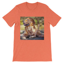 Dog t-shirt