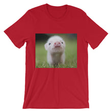Piglet t-shirt