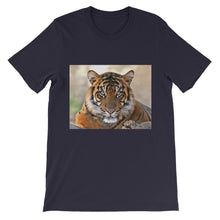Tiger t-shirt