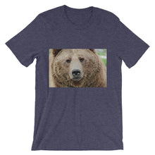 Bear t-shirt