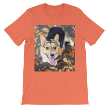 Corgi t-shirt
