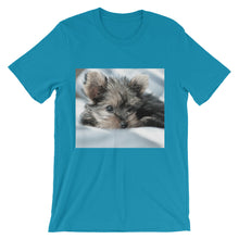 Yorkie Puppy t-shirt