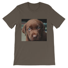 Puppy t-shirt