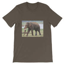 Endangered Species t-shirt