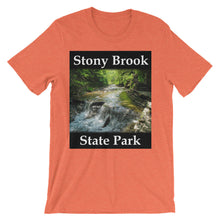 Stony Brook t-shirt