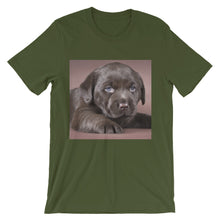 Puppy t-shirt