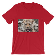 Leopard t-shirt