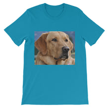 Dog t-shirt