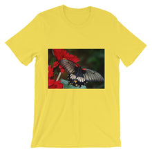 Butterfly t-shirt
