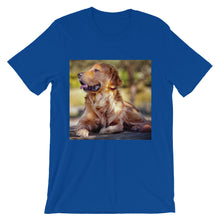 Dog t-shirt