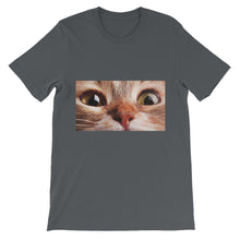 Cat t-shirt