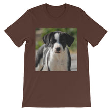 Dog t-shirt