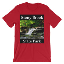 Stony Brook t-shirt