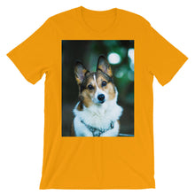 Corgi t-shirt