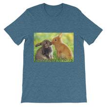Rabbits t-shirt