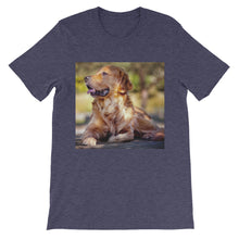 Dog t-shirt