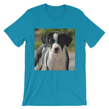 Dog t-shirt