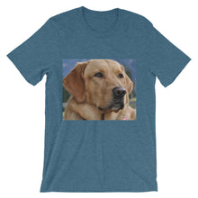 Dog t-shirt