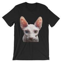 Cat t-shirt