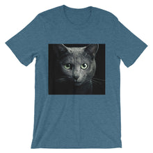 Cat t-shirt