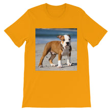 Dog t-shirt