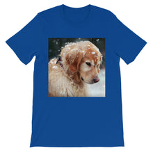 Dog t-shirt