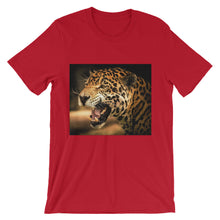 Jaguar t-shirt