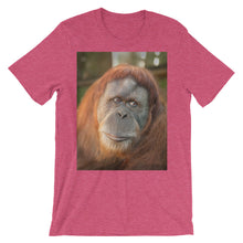 Endangered Species t-shirt