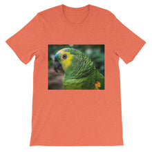 Macaw t-shirt