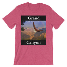 Grand Canyon t-shirt
