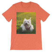 Dog t-shirt