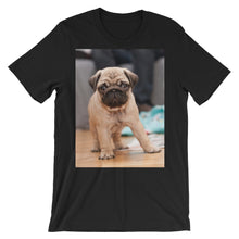 Pug t-shirt