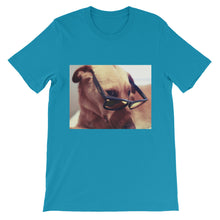 Dog with glasses t-shirt