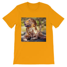 Dog t-shirt