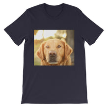 Dog t-shirt