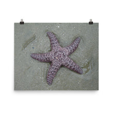 Starfish poster