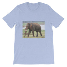 Endangered Species t-shirt