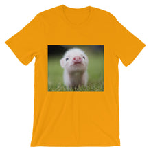 Piglet t-shirt