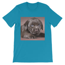 Puppy t-shirt