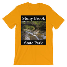 Stony Brook t-shirt