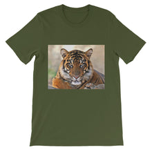 Tiger t-shirt