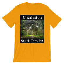 Charleston t-shirt